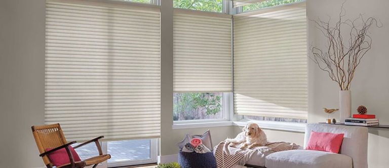 Honeycomb Blinds in Vancouver: The Energy-Efficient Window Covering BC Homeowners Are Switching To